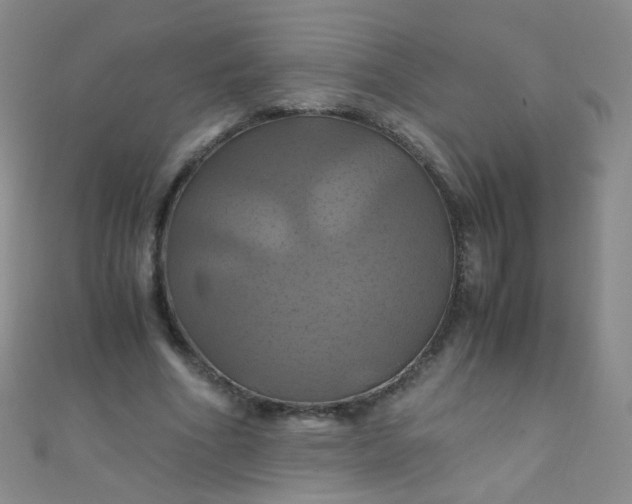 X0000110990586200907022118