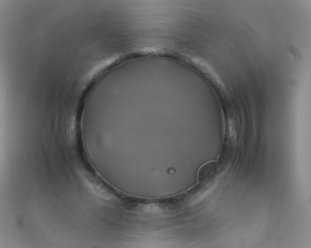 X0000110990588200907022118