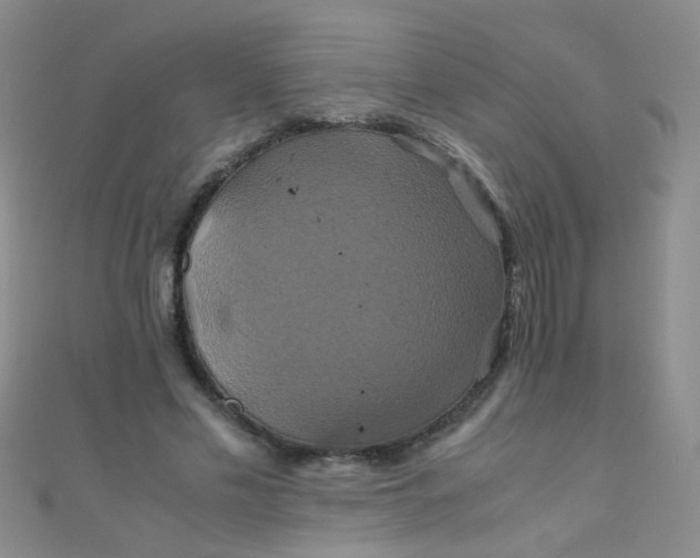 X0000110990589200907022118