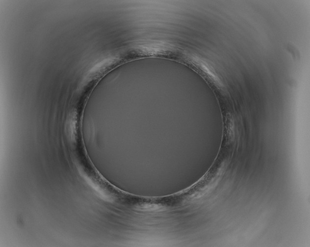 X0000110990590200907022118