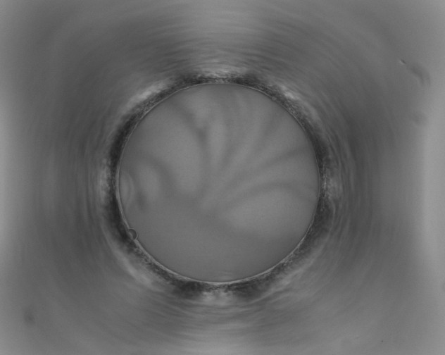 X0000110990591200907022118