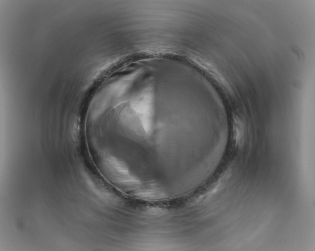 X0000110990592200907022118