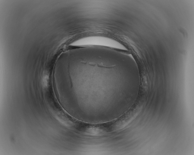 X0000110990596200907022118