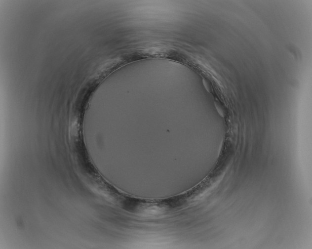X0000110990597200907022118