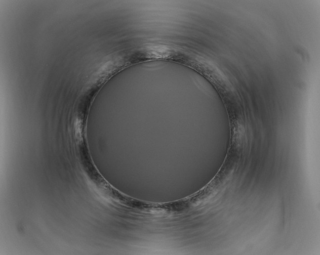 X0000110990598200907022118