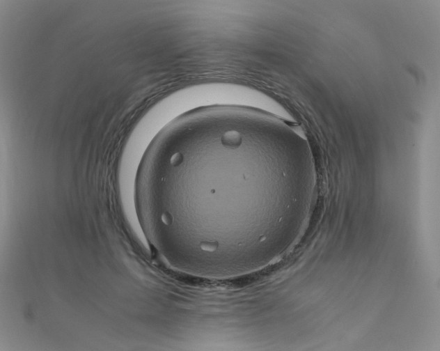 X0000110990599200907022118