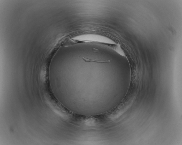X0000110990600200907022118