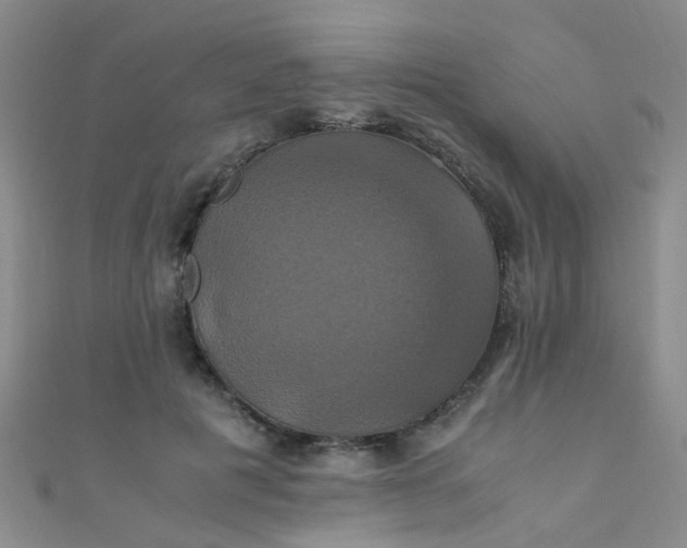 X0000110990601200907022118