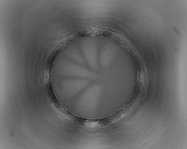 X0000110990602200907022118