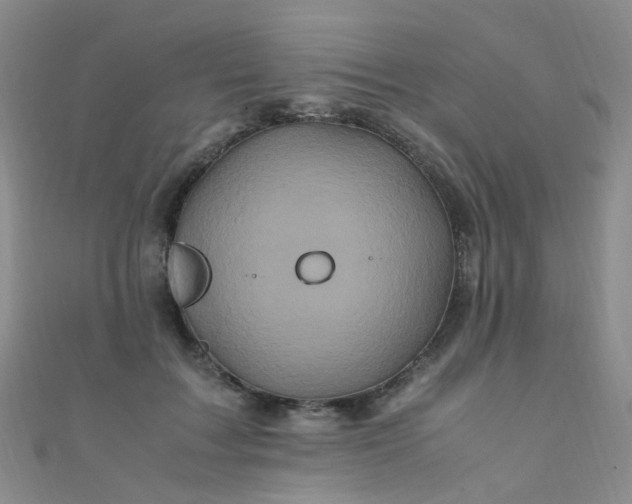 X0000110990603200907022118