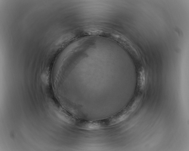 X0000110990604200907022118