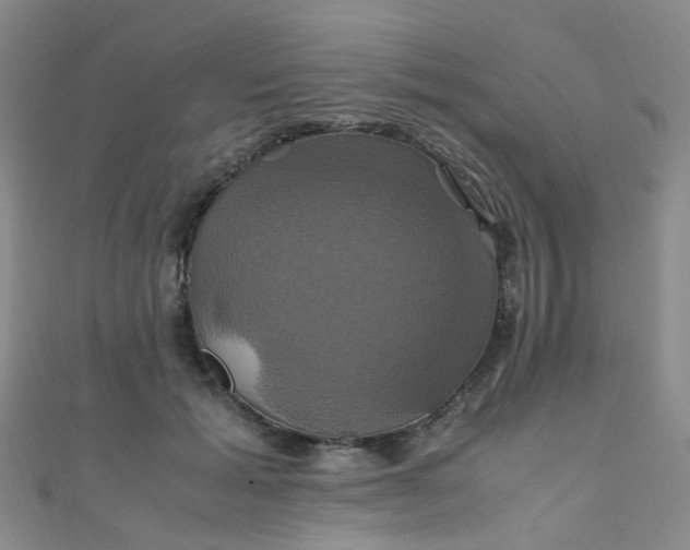 X0000110990605200907022118