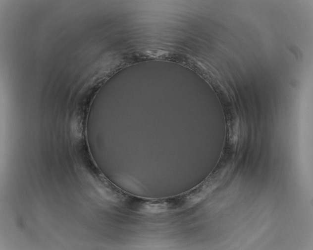 X0000110990606200907022118