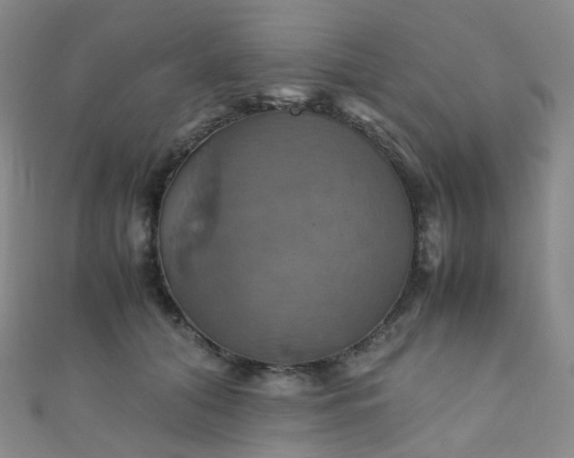 X0000110990608200907022118