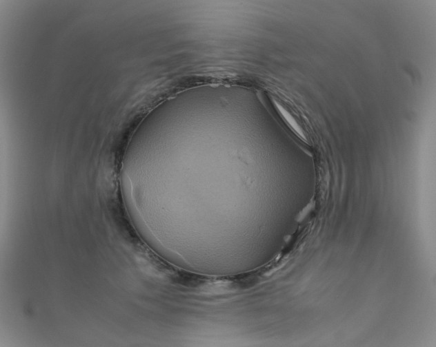 X0000110990609200907022118