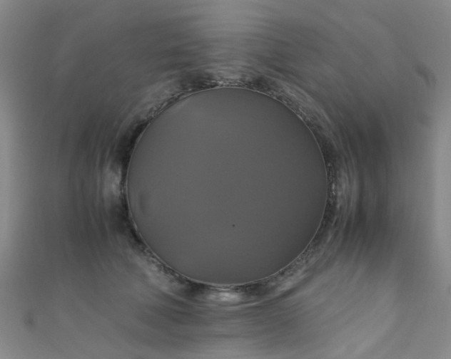 X0000110990610200907022118
