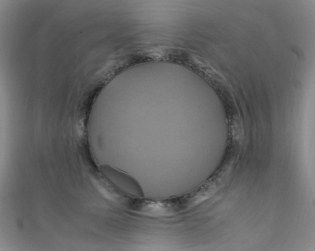 X0000110990611200907022118