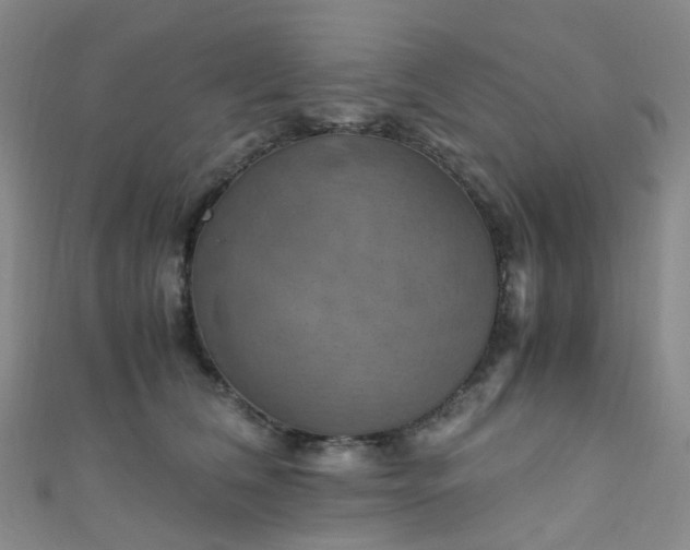 X0000110990612200907022118