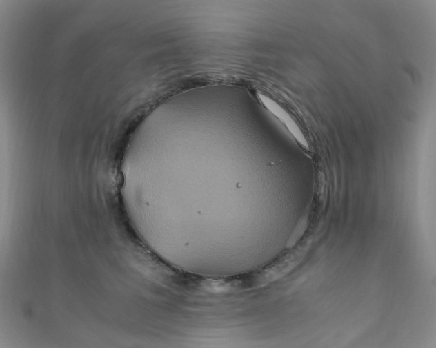 X0000110990613200907022118