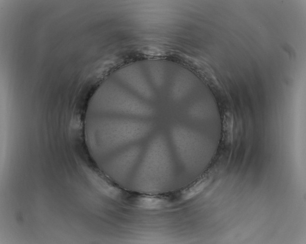 X0000110990614200907022118