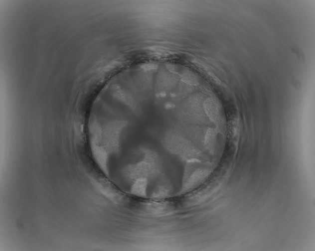 X0000110990615200907022118