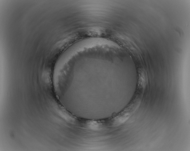 X0000110990616200907022118