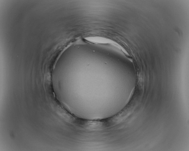 X0000110990617200907022118