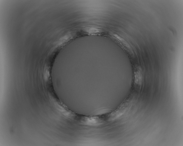 X0000110990618200907022118