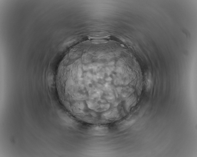 X0000110990619200907022118