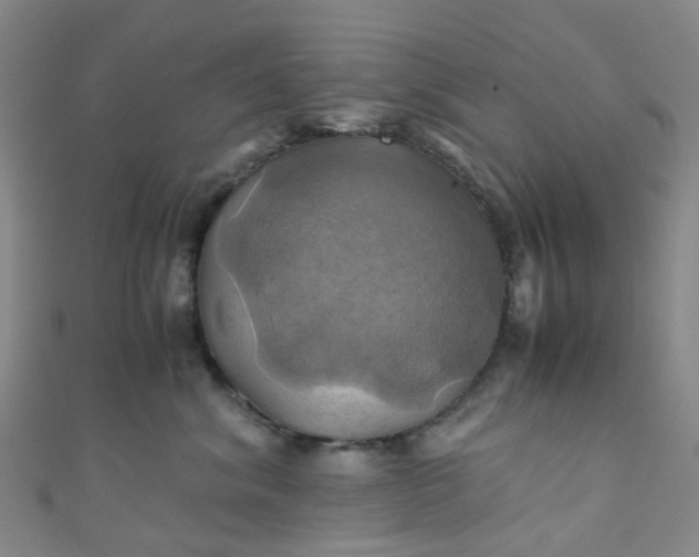 X0000110990620200907022118