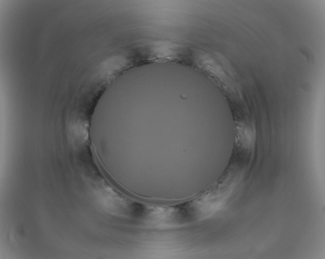 X0000110990621200907022118