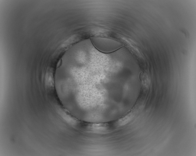 X0000110990622200907022118
