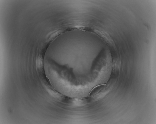 X0000110990623200907022118