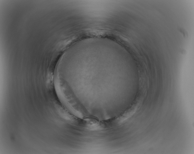 X0000110990624200907022118