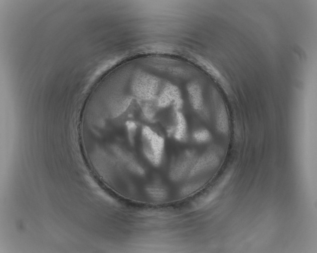 X0000110990625200907022117