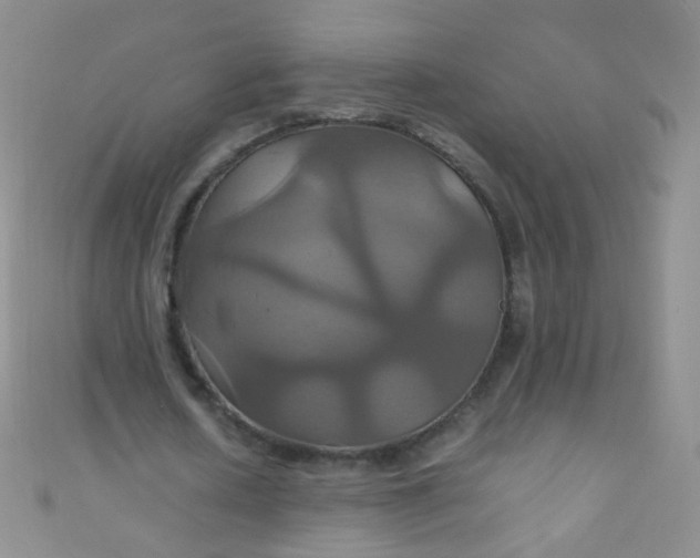 X0000110990626200907022117