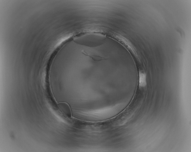 X0000110990627200907022117