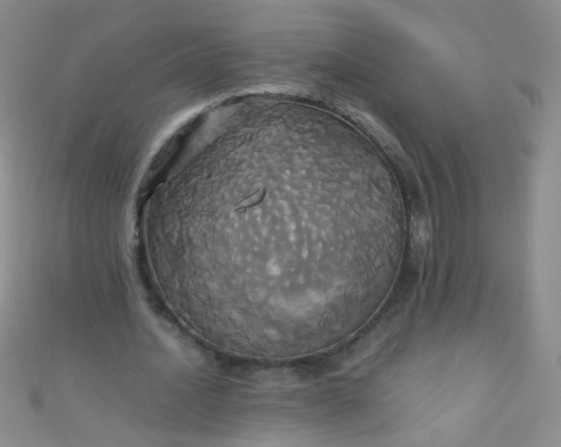 X0000110990628200907022117