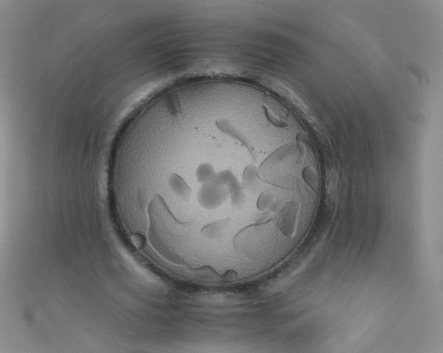 X0000110990629200907022117