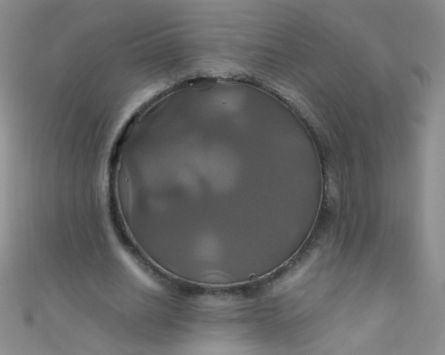 X0000110990630200907022117