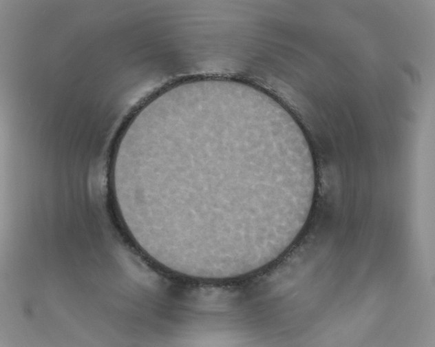 X0000110990632200907022117