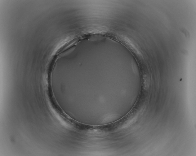 X0000110990634200907022117