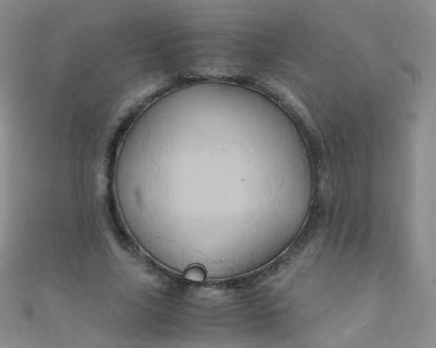 X0000110990635200907022117