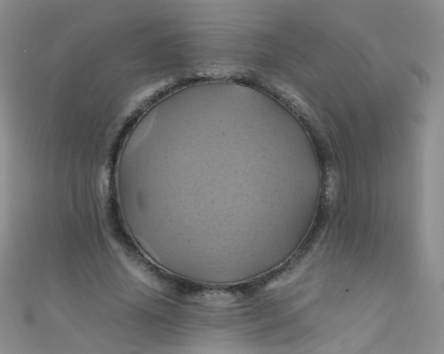 X0000110990636200907022117
