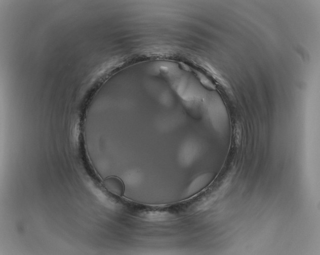 X0000110990637200907022117