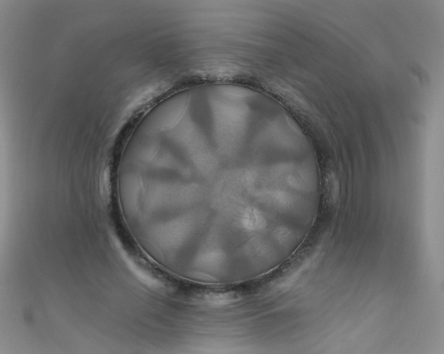 X0000110990638200907022117