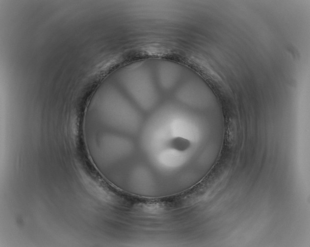 X0000110990639200907022117