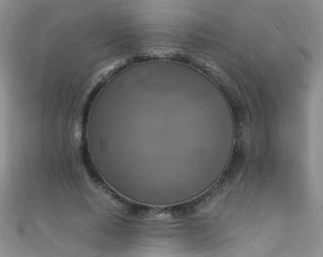 X0000110990640200907022117
