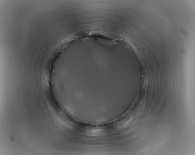 X0000110990643200907022117