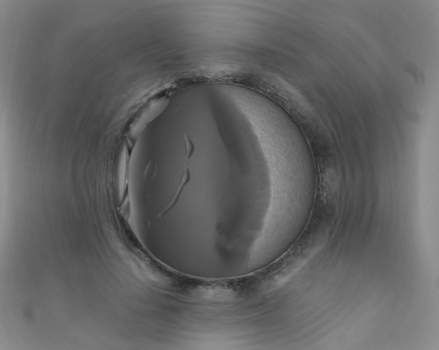 X0000110990644200907022117